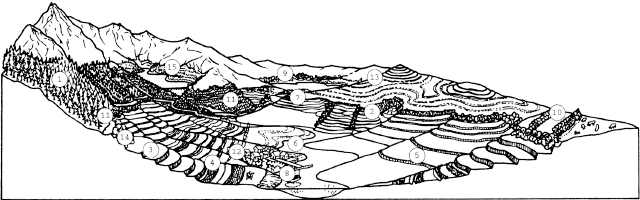 Что можно сделать?